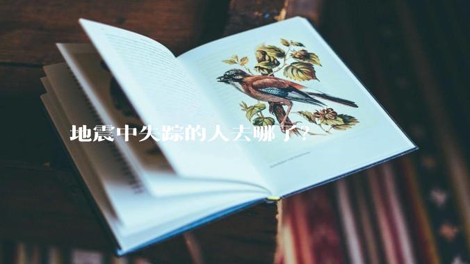 地震中失踪的人去哪了？
