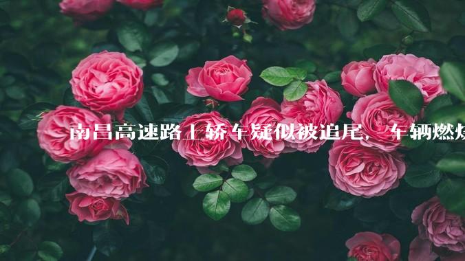 南昌高速路上轿车疑似被追尾，车辆燃烧驾乘人员被烧死，具体事故原因是什么？