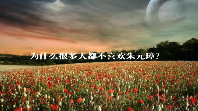 为什么很多人都不喜欢朱元璋？